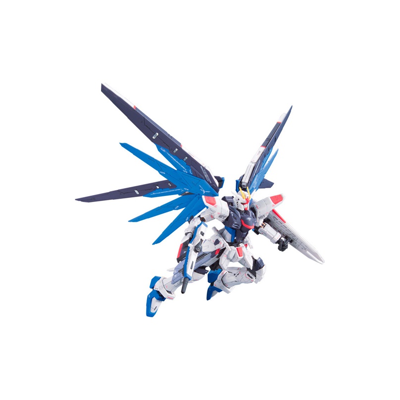 BANDAI Mobile Suit Gundam SEED – Bandai Model Gundam Rg Bewertung und Preis